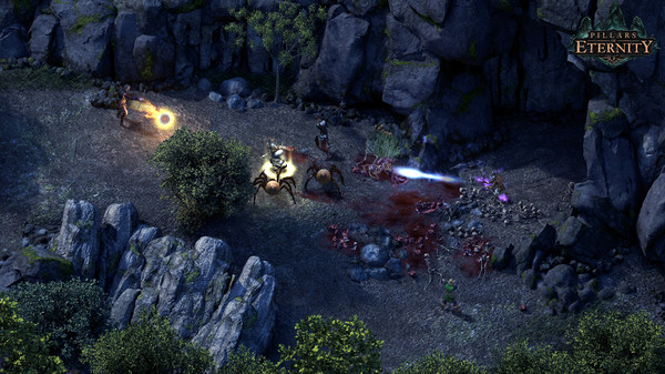 Screenshot 4 of Pillars of Eternity