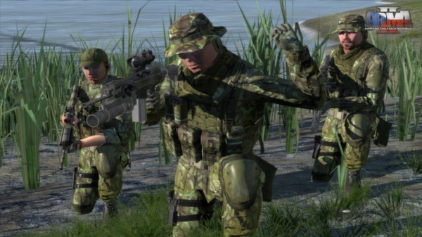 Screenshot 2 of Arma 2: Army of the Czech Republic