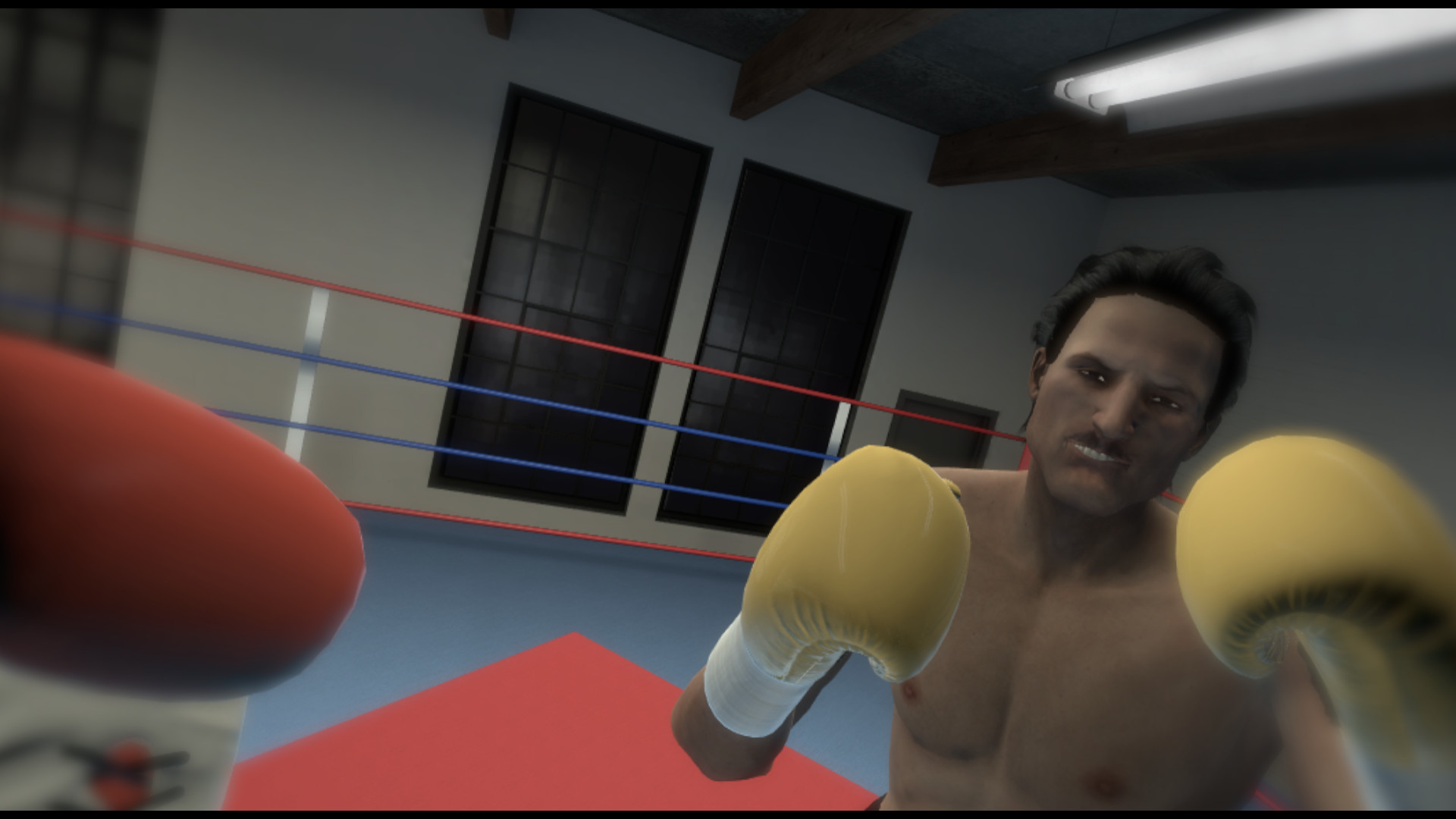 Boxing симулятор. The Thrill of the Fight. Thrill of the Fight Oculus. Виртуальный бокс игра. Бокс ВР игра.