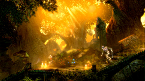 Screenshot 1 of Trine Enchanted Edition