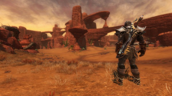 Screenshot 5 of Kingdoms of Amalur: Reckoning™