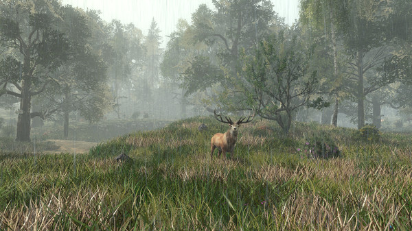 Screenshot 14 of Life is Feudal: Forest Village