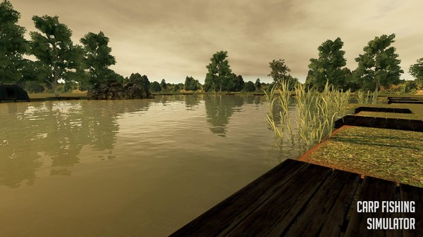 Screenshot 5 of Carp Fishing Simulator