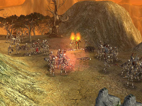 Screenshot 3 of SpellForce - Platinum Edition