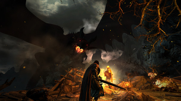 Screenshot 8 of Dragon's Dogma: Dark Arisen