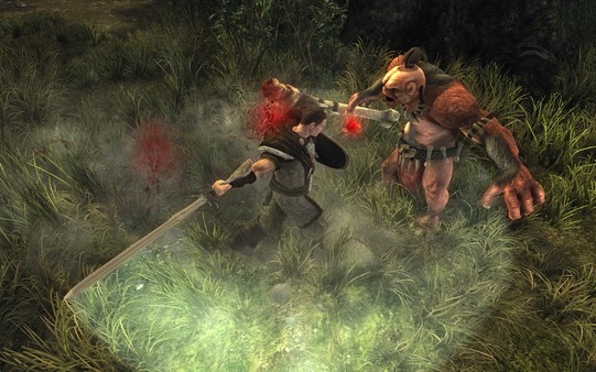 Screenshot 15 of Risen