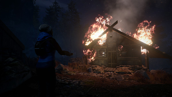 Screenshot 5 of Through the Woods