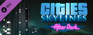 Cities: Skylines - After Dark