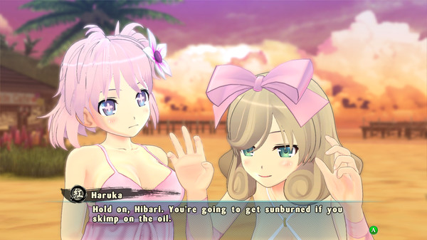 Screenshot 8 of SENRAN KAGURA ESTIVAL VERSUS