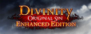 Divinity: Original Sin - Enhanced Edition