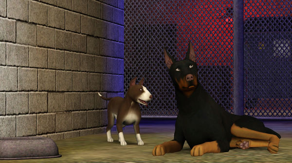 Screenshot 2 of The Sims™ 3 Pets