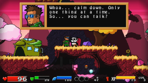 Screenshot 3 of Super Panda Adventures