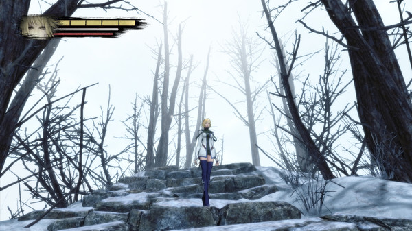 Screenshot 14 of Anima Gate of Memories