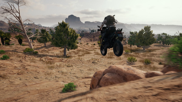 Screenshot 24 of PLAYERUNKNOWN'S BATTLEGROUNDS