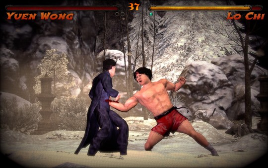 Screenshot 10 of Kings of Kung Fu