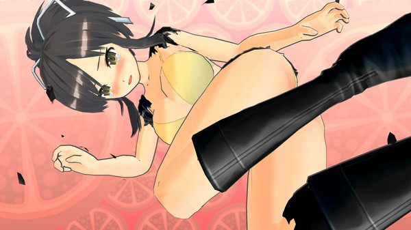 Screenshot 5 of SENRAN KAGURA Bon Appétit! - Full Course