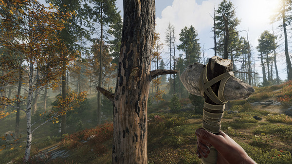 Screenshot 9 of Rust