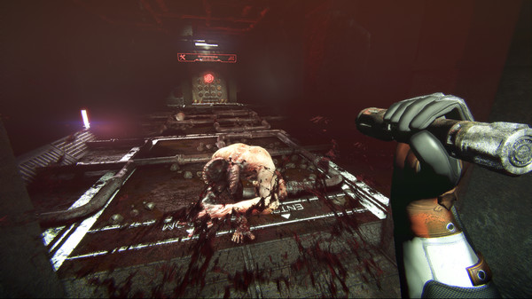 Screenshot 4 of Cargo 3