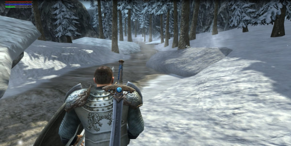 Screenshot 6 of Ravensword: Shadowlands