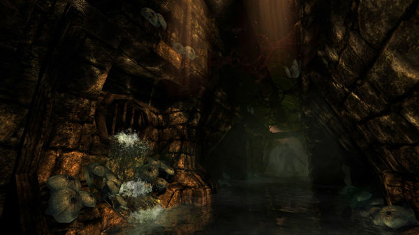 Screenshot 5 of Amnesia: The Dark Descent