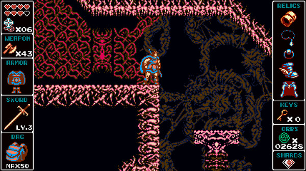 Screenshot 15 of Odallus: The Dark Call