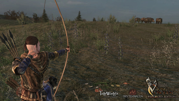 Screenshot 2 of Mount & Blade: Warband - Viking Conquest Reforged Edition