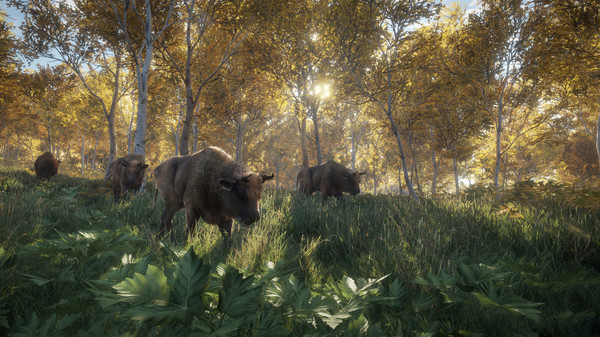 Screenshot 21 of theHunter: Call of the Wild™