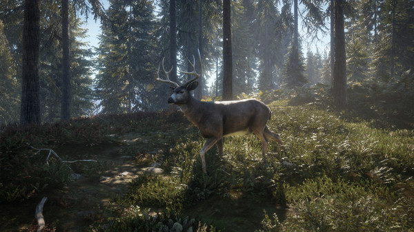 Screenshot 24 of theHunter: Call of the Wild™