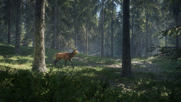 Screenshot 5 of theHunter: Call of the Wild™