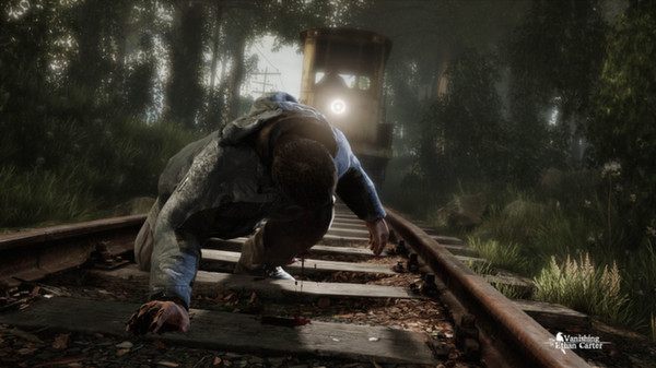 Screenshot 1 of The Vanishing of Ethan Carter