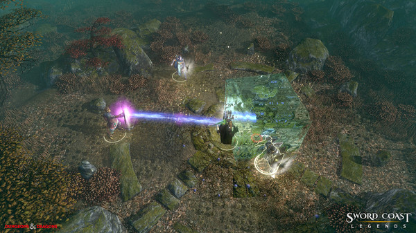 Screenshot 28 of Sword Coast Legends