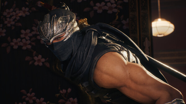 Screenshot 4 of NINJA GAIDEN 2 Black