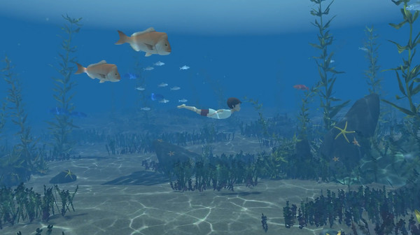 Screenshot 1 of Storm Boy