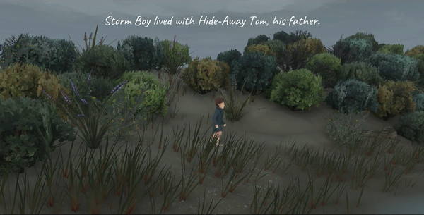 Screenshot 2 of Storm Boy