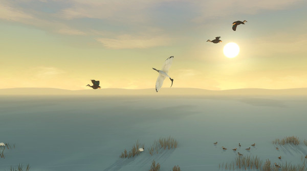 Screenshot 4 of Storm Boy