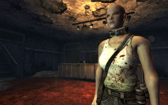 Screenshot 5 of Fallout New Vegas: Dead Money