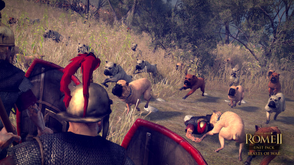 Screenshot 6 of Total War: ROME II - Beasts of War Unit Pack
