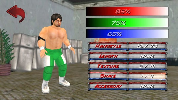 Screenshot 2 of Wrestling Revolution 3D