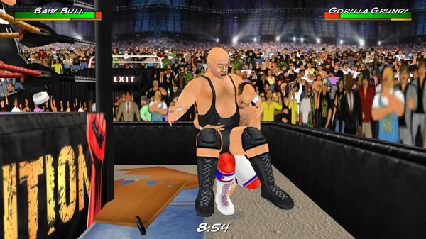 Screenshot 10 of Wrestling Revolution 3D