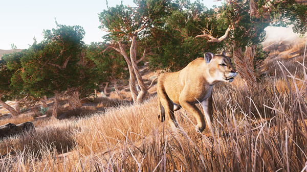 Screenshot 10 of Hunting Simulator