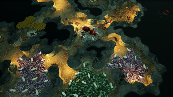 Screenshot 1 of Empires of the Undergrowth