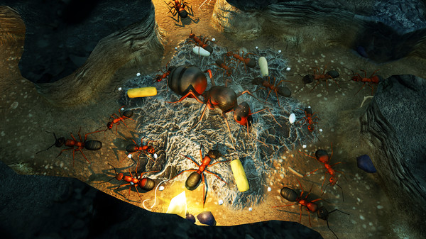 Screenshot 8 of Empires of the Undergrowth