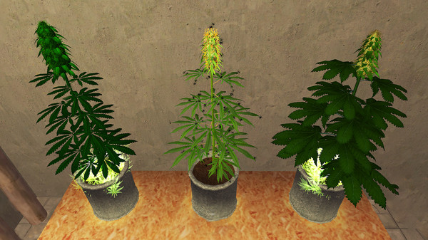 Screenshot 2 of Weed Shop 2