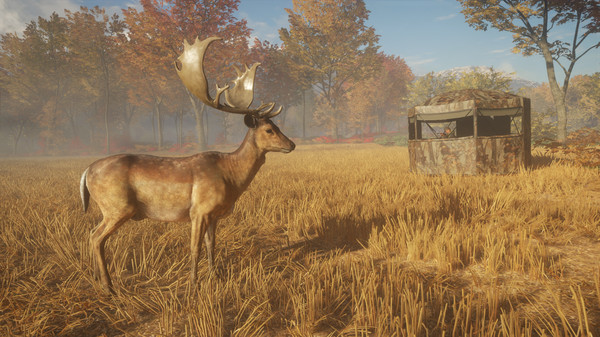 Screenshot 1 of theHunter™: Call of the Wild - Tents & Ground Blinds
