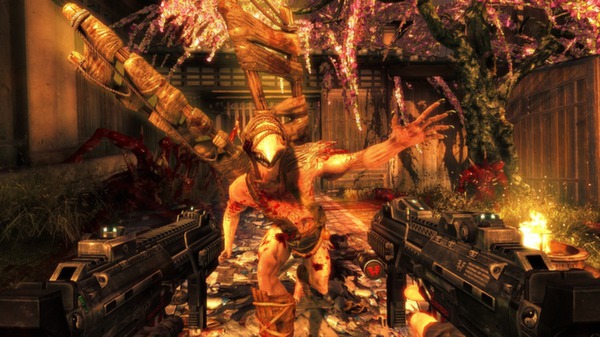 Screenshot 3 of Shadow Warrior