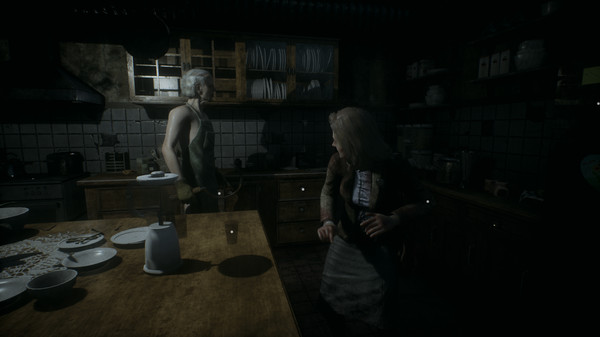 Screenshot 53 of Remothered: Tormented Fathers