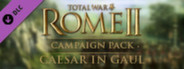 Total War: ROME II - Caesar in Gaul Campaign Pack