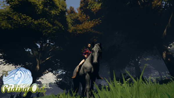 Screenshot 9 of Riding Out