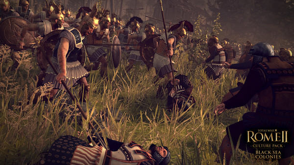 Screenshot 4 of Total War: ROME II -  Black Sea Colonies Culture Pack