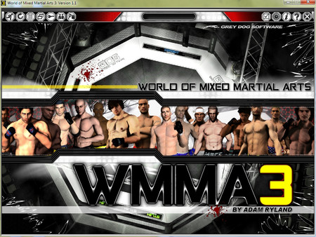 Screenshot 7 of World of Mixed Martial Arts 3